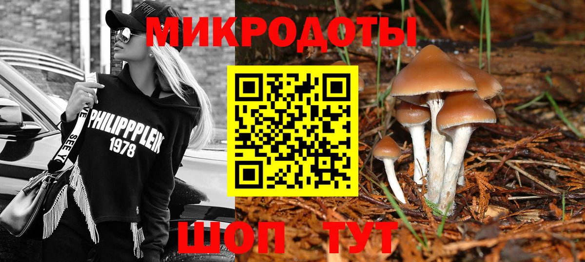 Галлюциногенные грибы Psilocybe  Вход с VPN  Галлюциногенные грибы Magic Shrooms  Грозный 